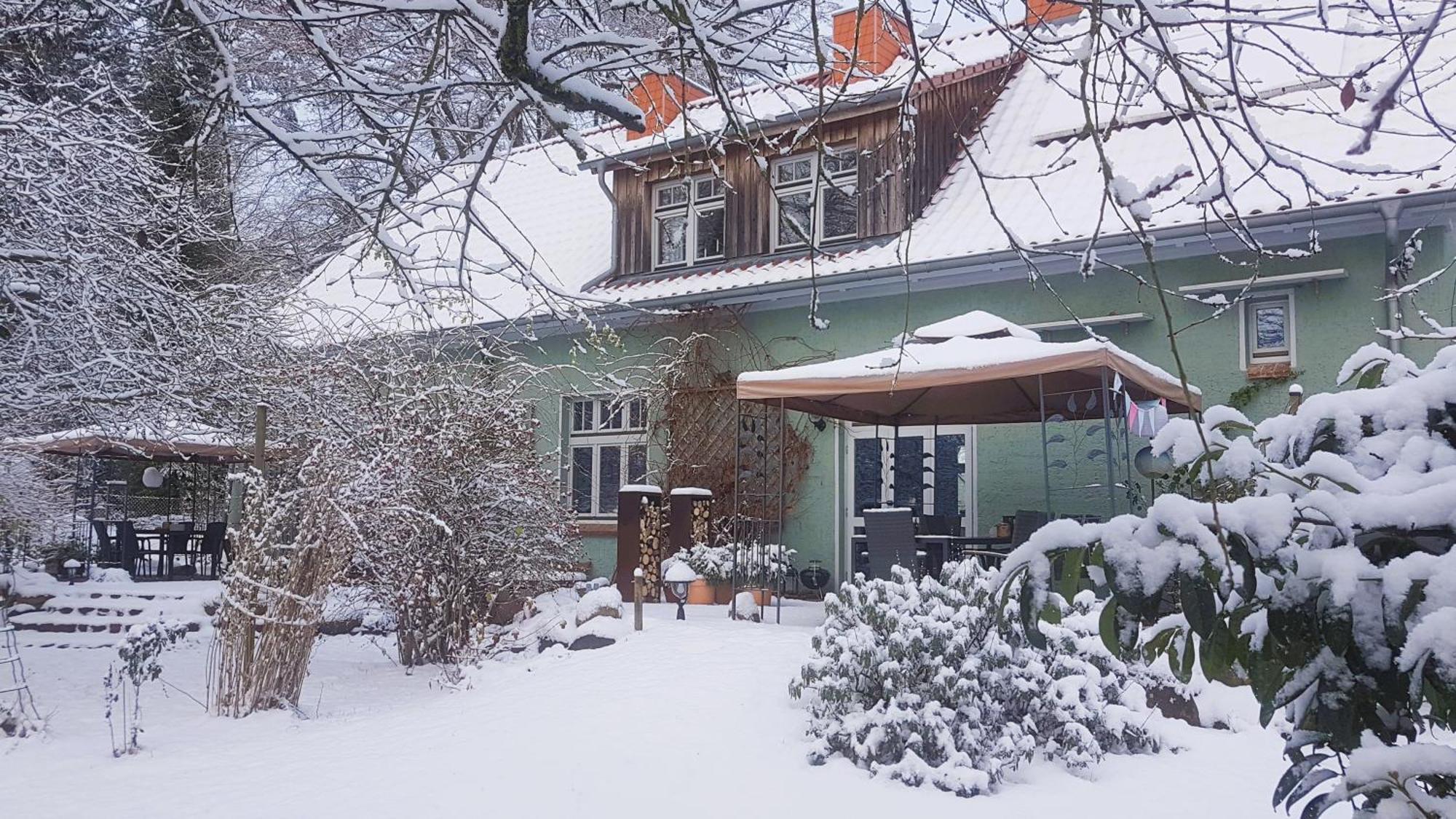 Ferienhaus Salvia Gremersdorf-Buchholz Экстерьер фото