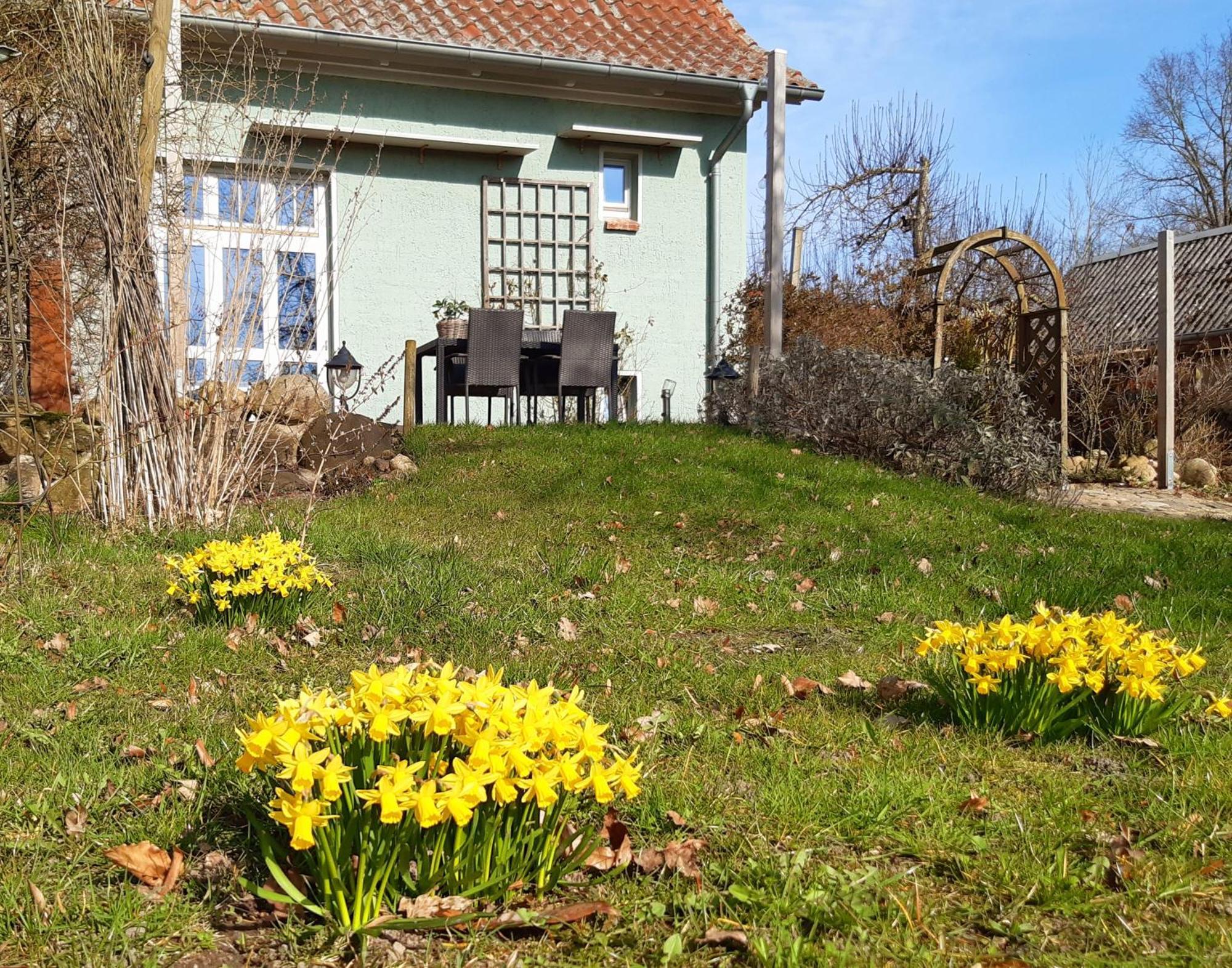 Ferienhaus Salvia Gremersdorf-Buchholz Экстерьер фото