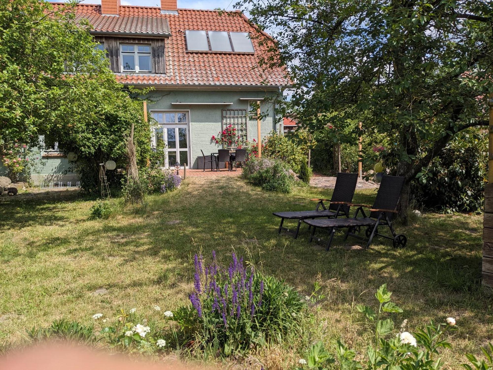 Ferienhaus Salvia Gremersdorf-Buchholz Экстерьер фото